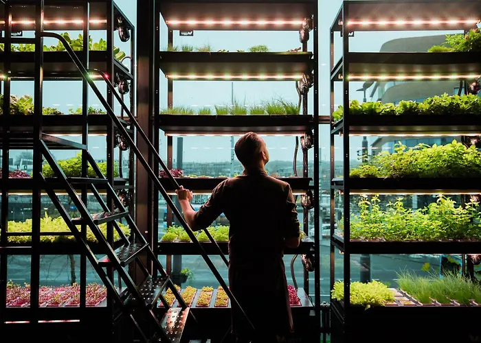 Haarhuis Hotel Arnhem